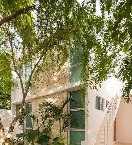 Relaxing Loft With Private Pool And Amazing Views In The Heart Of Apartment Tulum